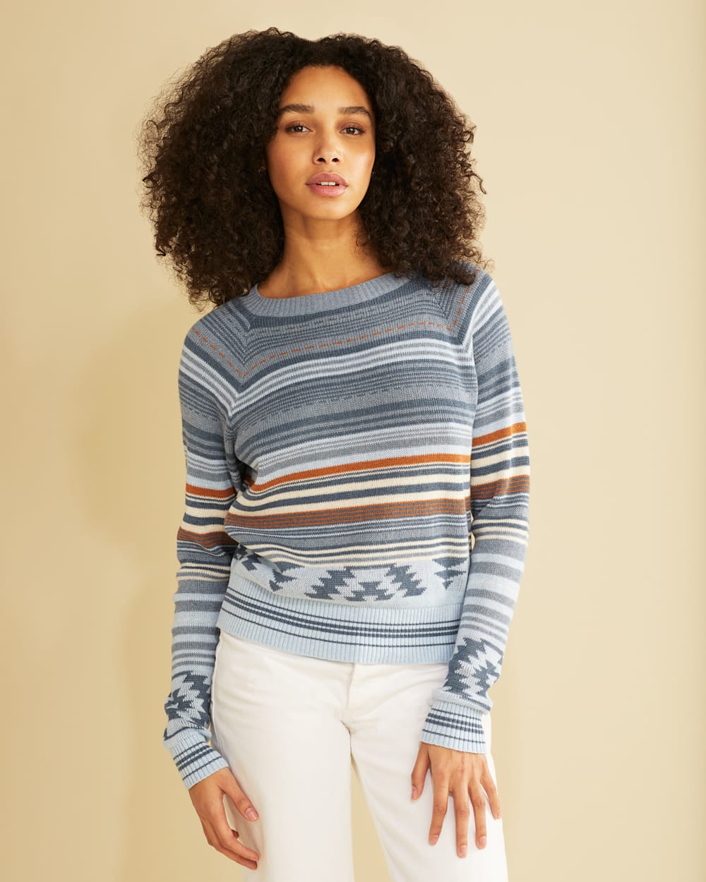 ALTERNATE VIEW OF WOMEN'S RAGLAN COTTON GRAPHIC SWEATER IN SKY BLUE MULTI image number 4
