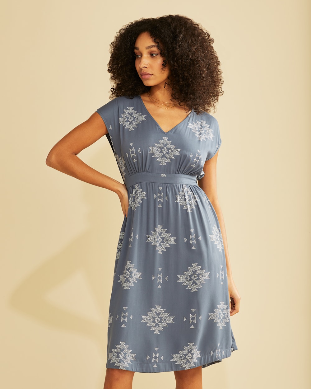 WOMEN'S CASCADE LAKE DRESS IN VINTAGE INDIGO image number 1