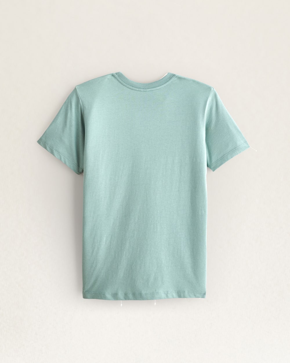 ALTERNATE VIEW OF WOMEN'S GRAPHIC TEE IN SEAFOAM CHIEF JOSEPH image number 2