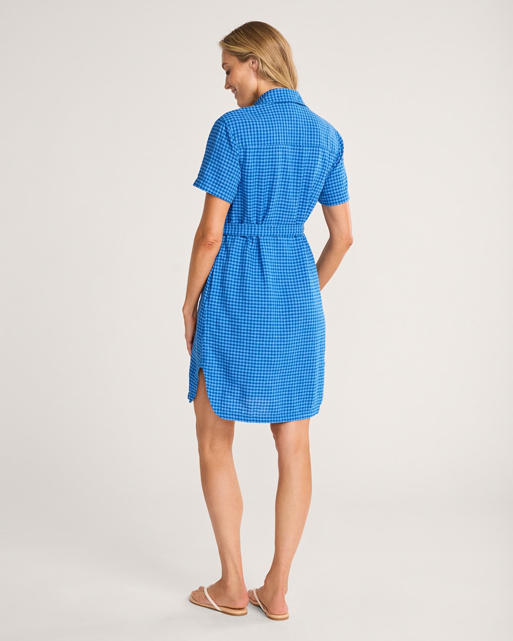 ALTERNATE VIEW OF WOMEN'S CHARLOTTE LINEN SHIRT DRESS IN BLUE CHECK image number 2