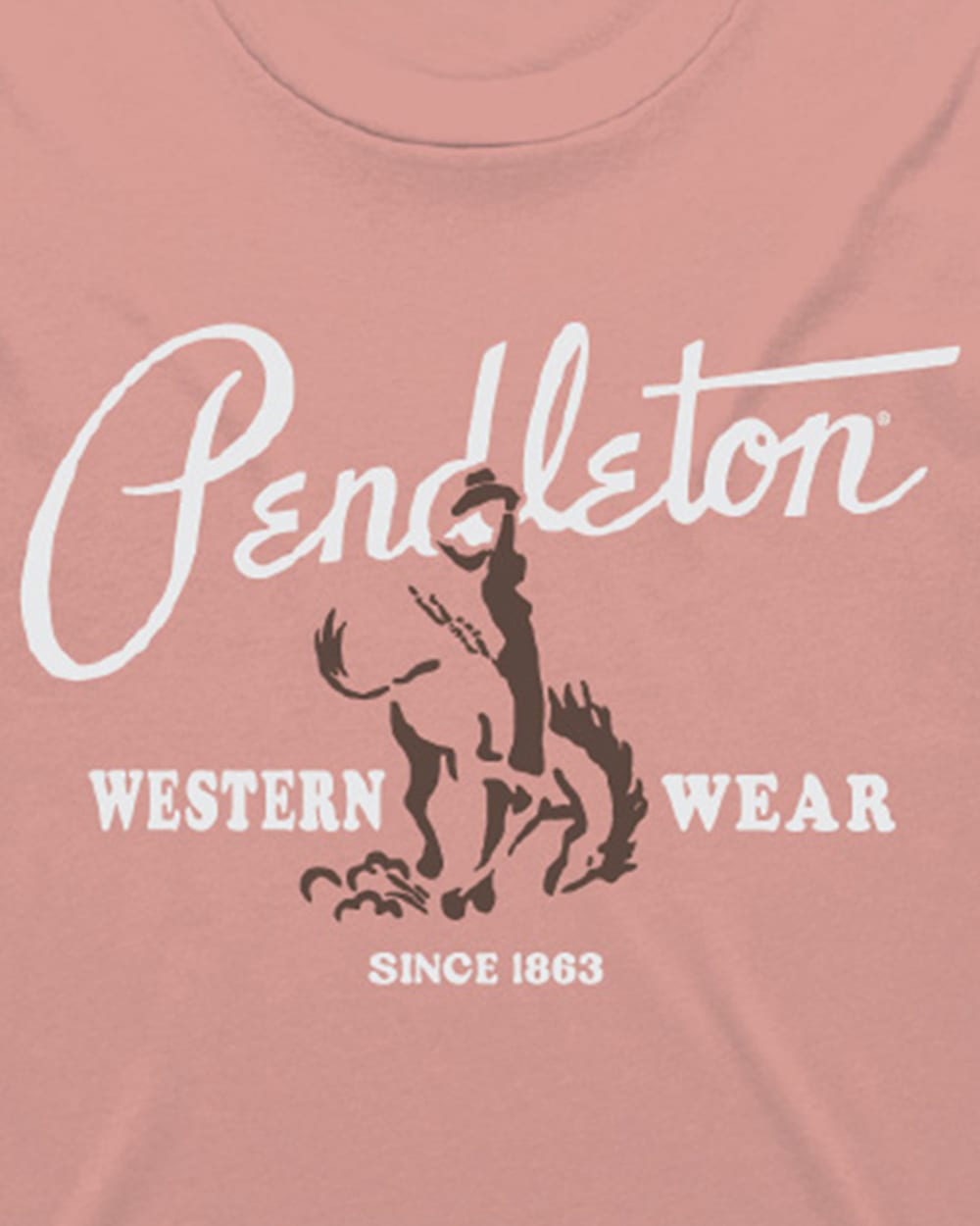 ALTERNATE VIEW OF WOMEN'S COWGIRL GRAPHIC TEE IN DUSTY ROSE image number 2