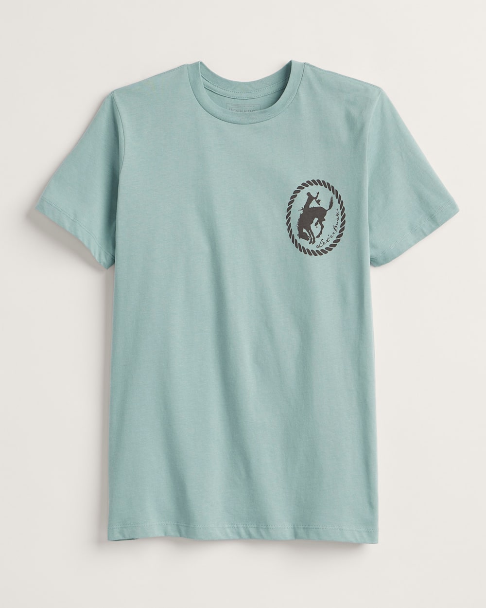 PENDLETON WHISKY GRAPHIC TEE IN SEAFOAM image number 2