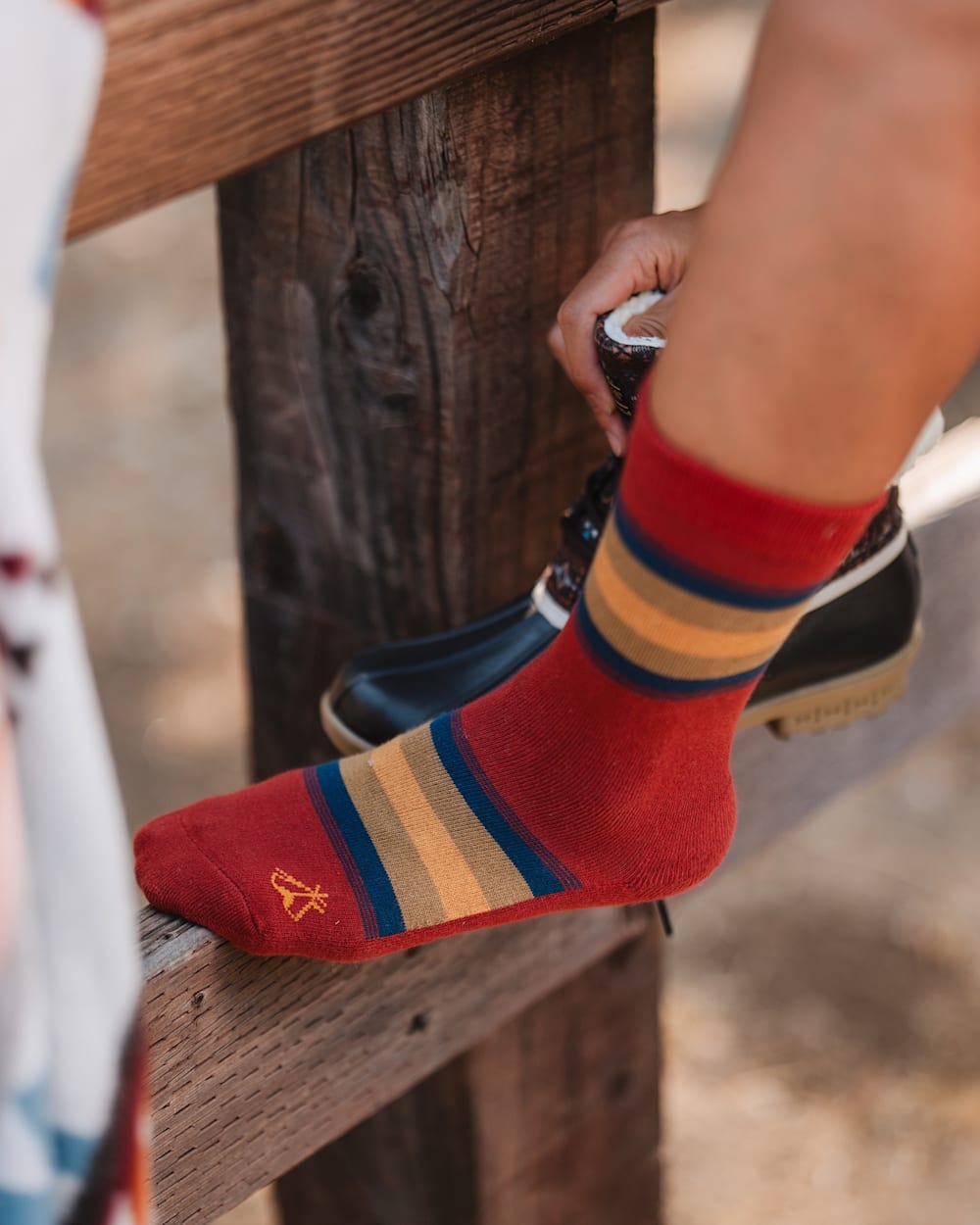 ALTERNATE VIEW OF NATIONAL PARK STRIPE CREW SOCKS IN ZION image number 2