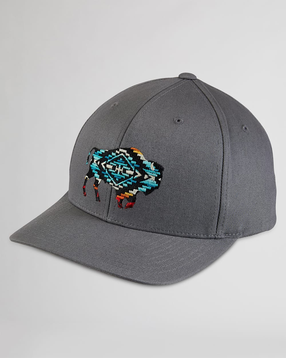 BUFFALO EMBROIDERED HAT IN CHARCOAL image number 1