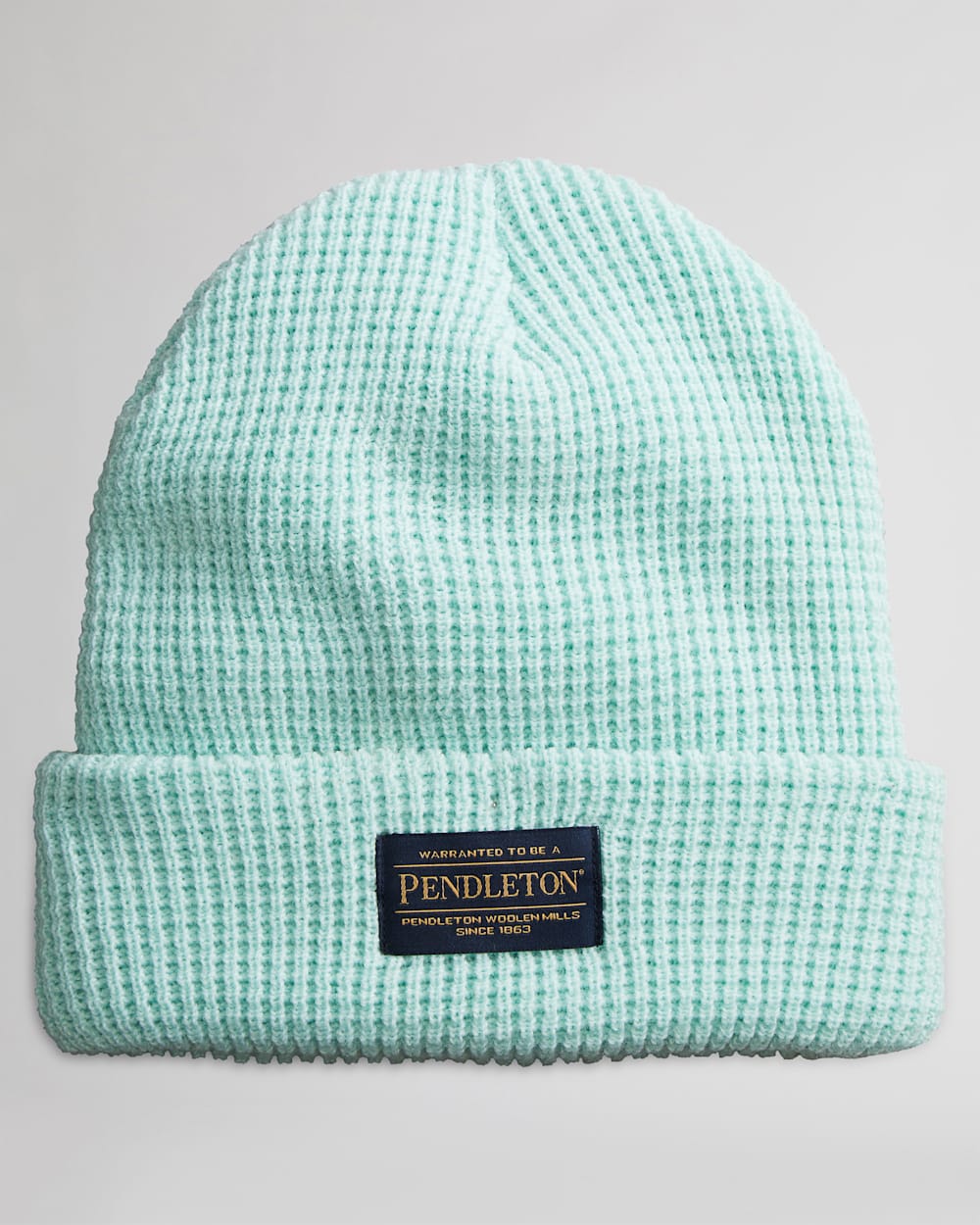WAFFLE KNIT BEANIE IN MINT image number 1