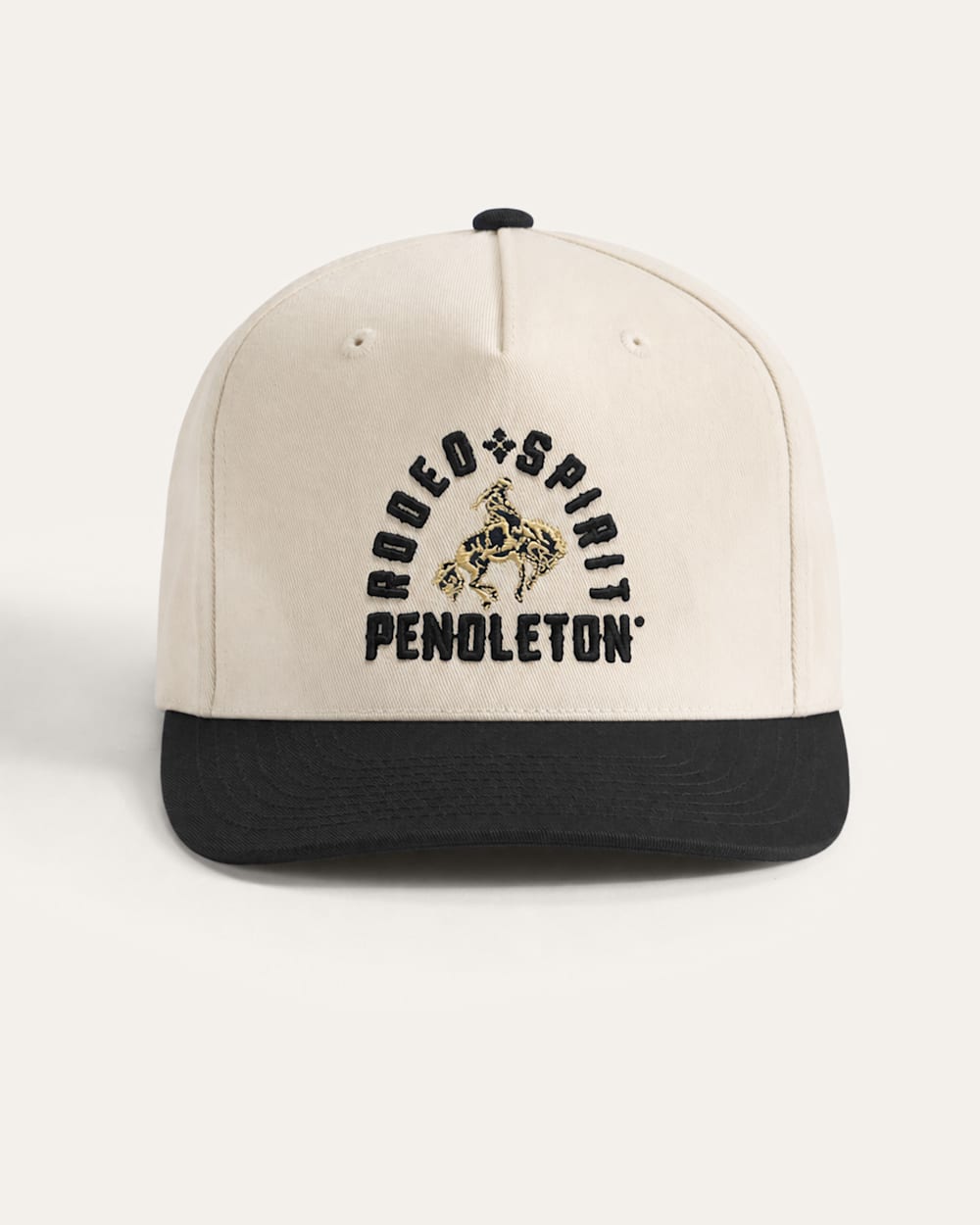 ALTERNATE VIEW OF RODEO SPIRIT HAT IN IVORY/GREY image number 3