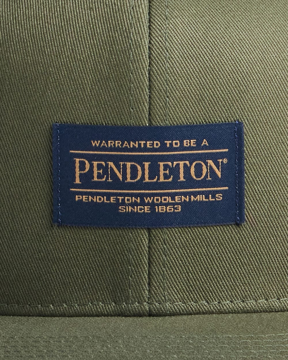 ALTERNATE VIEW OF LOGO FLAT BRIM HAT IN ARMY GREEN image number 3