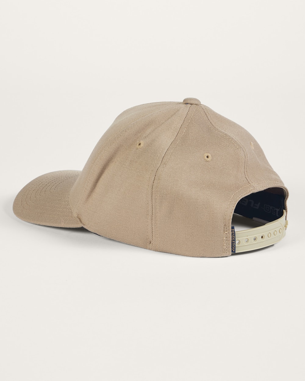 ALTERNATE VIEW OF SALMON GRAPHIC HAT IN TAUPE image number 2