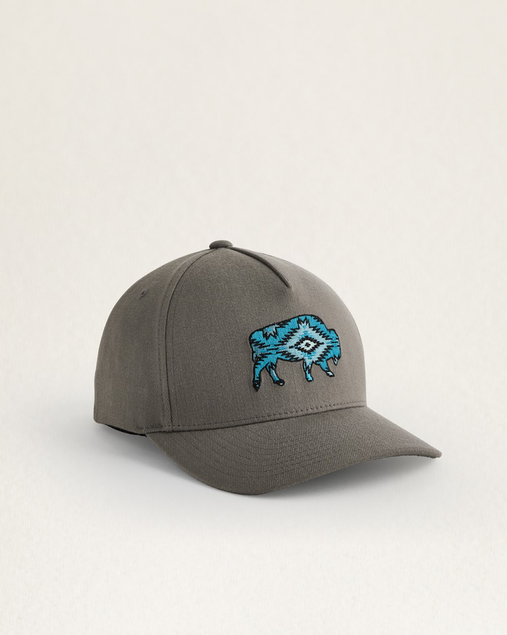 BUFFALO EMBROIDERED HAT IN GREY/AQUA image number 1