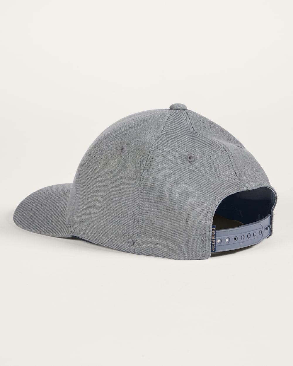 ALTERNATE VIEW OF BISON EMBROIDERED HAT IN CHARCOAL image number 2