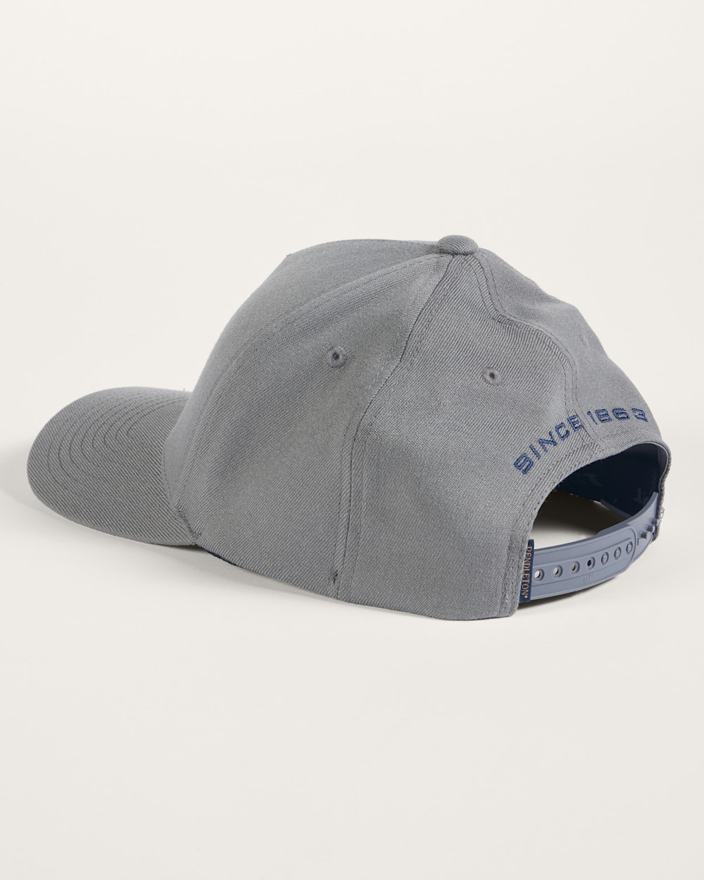 ALTERNATE VIEW OF BISON GRAPHIC HAT IN GREY image number 2