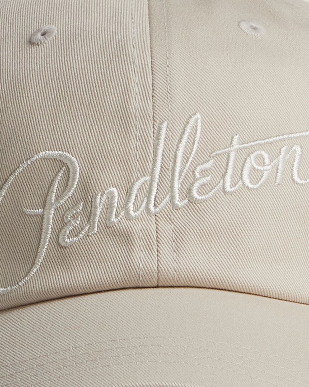 ALTERNATE VIEW OF CLASSIC LOGO SIX-PANEL CAP IN NATURAL image number 2