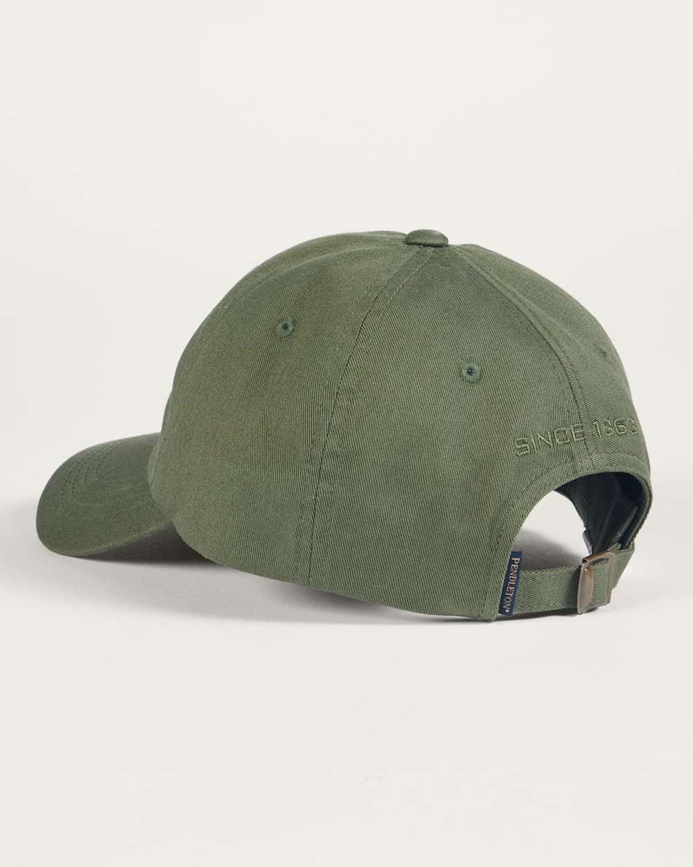 ALTERNATE VIEW OF CLASSIC LOGO SIX-PANEL CAP IN GREEN image number 2