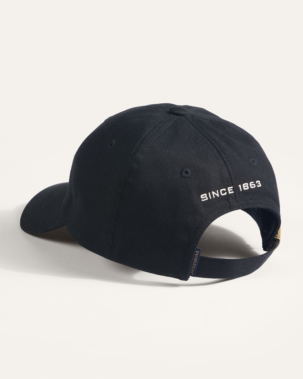 ALTERNATE VIEW OF CLASSIC LOGO SIX-PANEL CAP IN BLACK image number 2