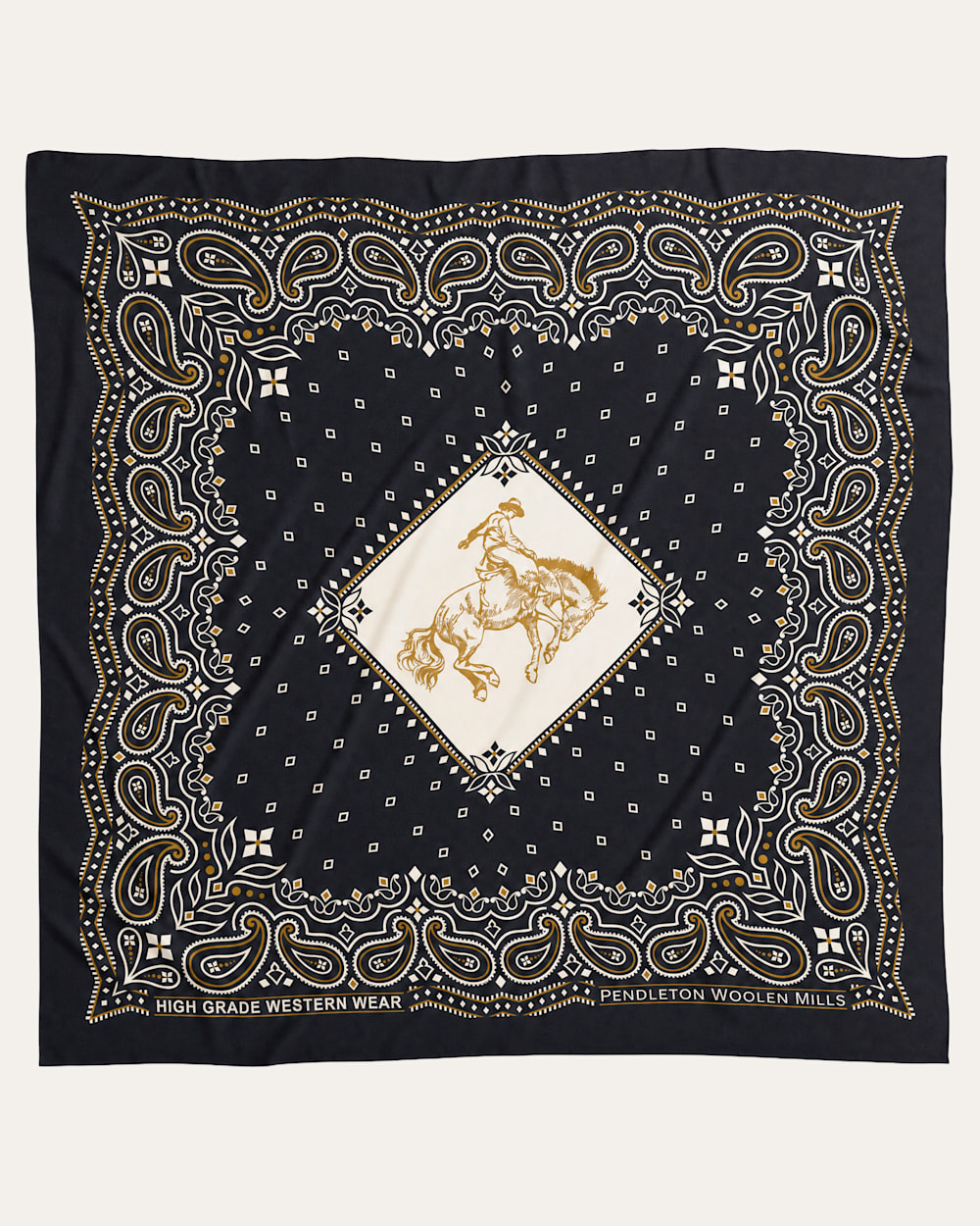 ALTERNATE VIEW OF RODEO SPIRIT SILK SCARF IN BLACK image number 2