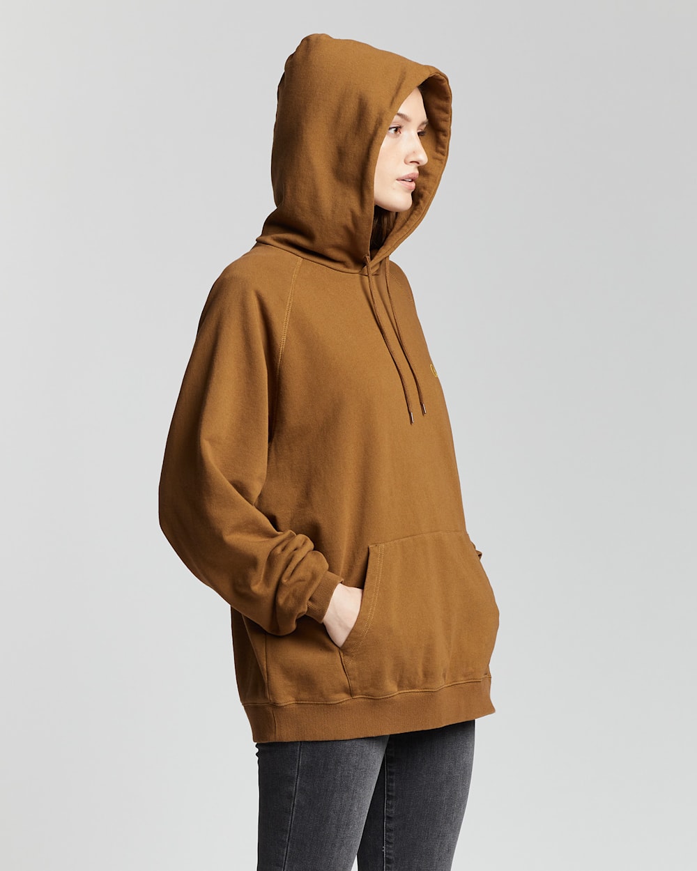 ALTERNATE VIEW OF LIMITED EDITION HOODIE IN TAN HARDING image number 3
