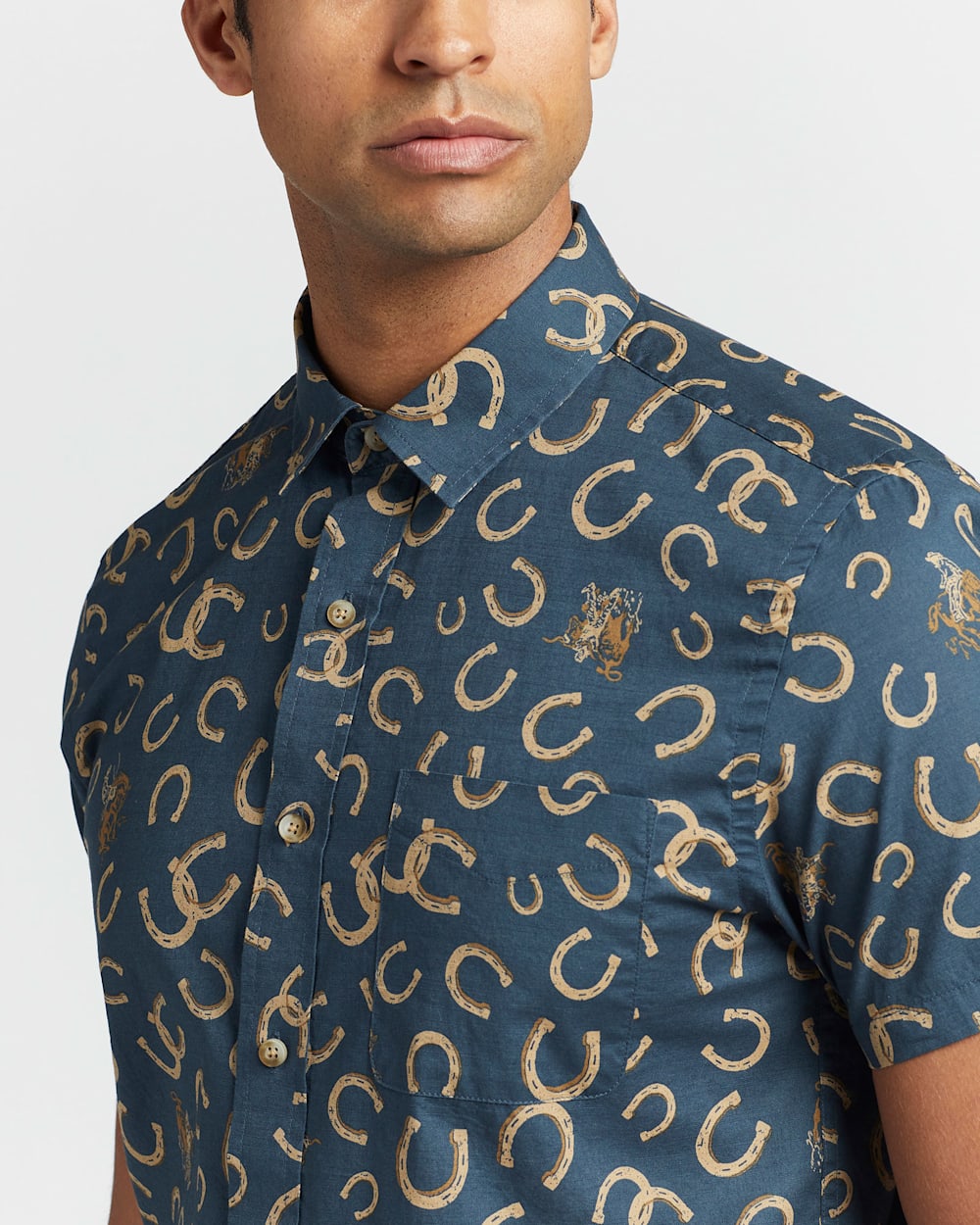 ALTERNATE VIEW OF ALTERNATE VIEW OF ALTERNATE VIEW OF NAVY HORSESHOE image number 4