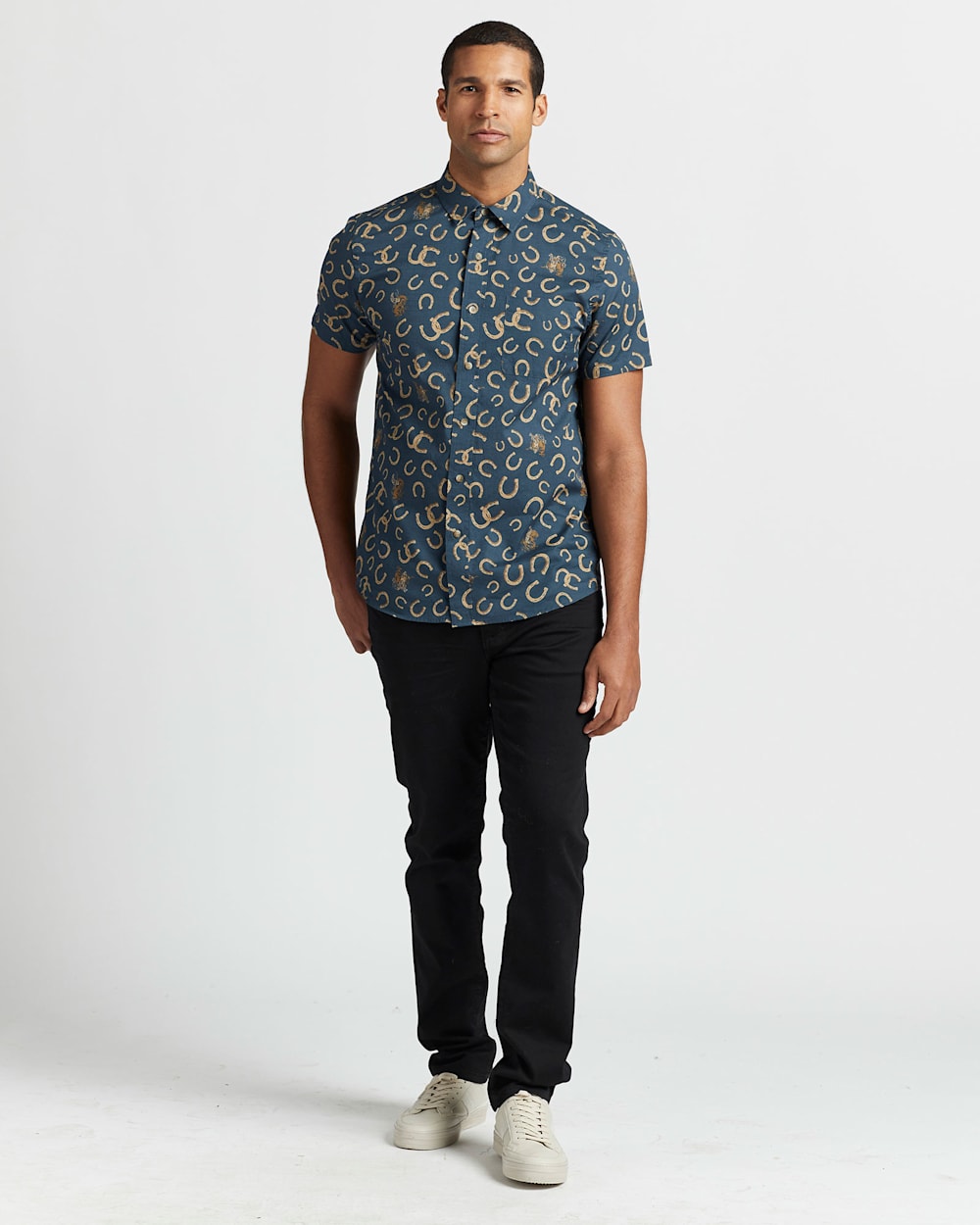 ALTERNATE VIEW OF ALTERNATE VIEW OF ALTERNATE VIEW OF ALTERNATE VIEW OF NAVY HORSESHOE image number 5