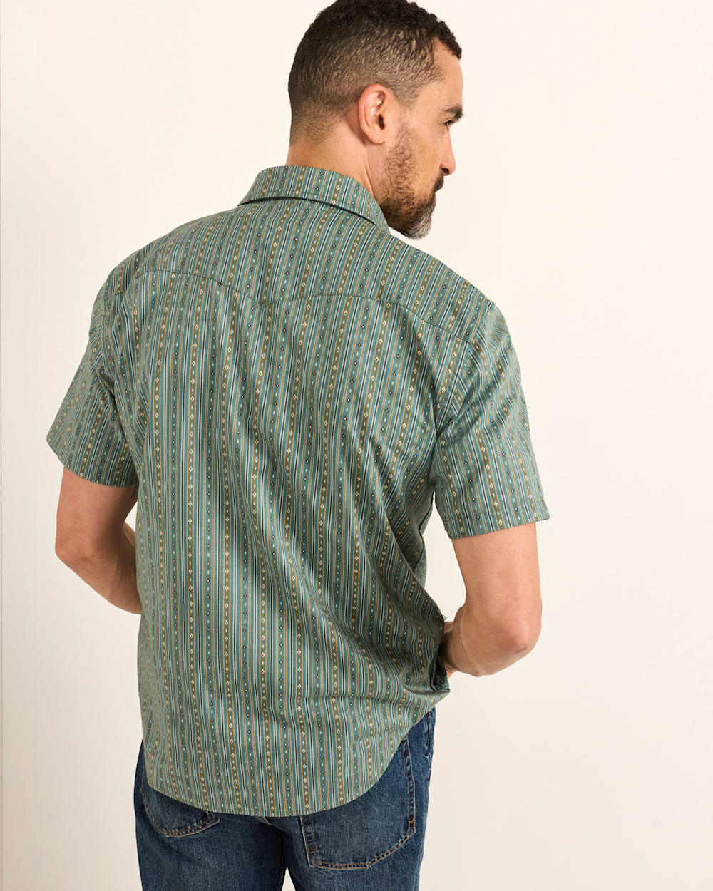 ALTERNATE VIEW OF MEN'S SHORT-SLEEVE LARAMIE SNAP-FRONT SHIRT IN BLUE STRIPE HARDING image number 2