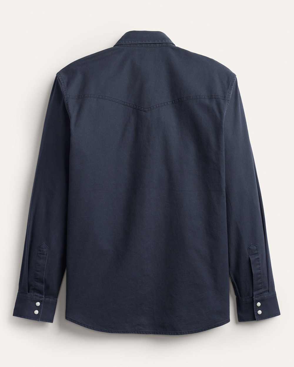 ALTERNATE VIEW OF MEN'S DILLON WESTERN TWILL SHIRT IN WASHED BLUE image number 2