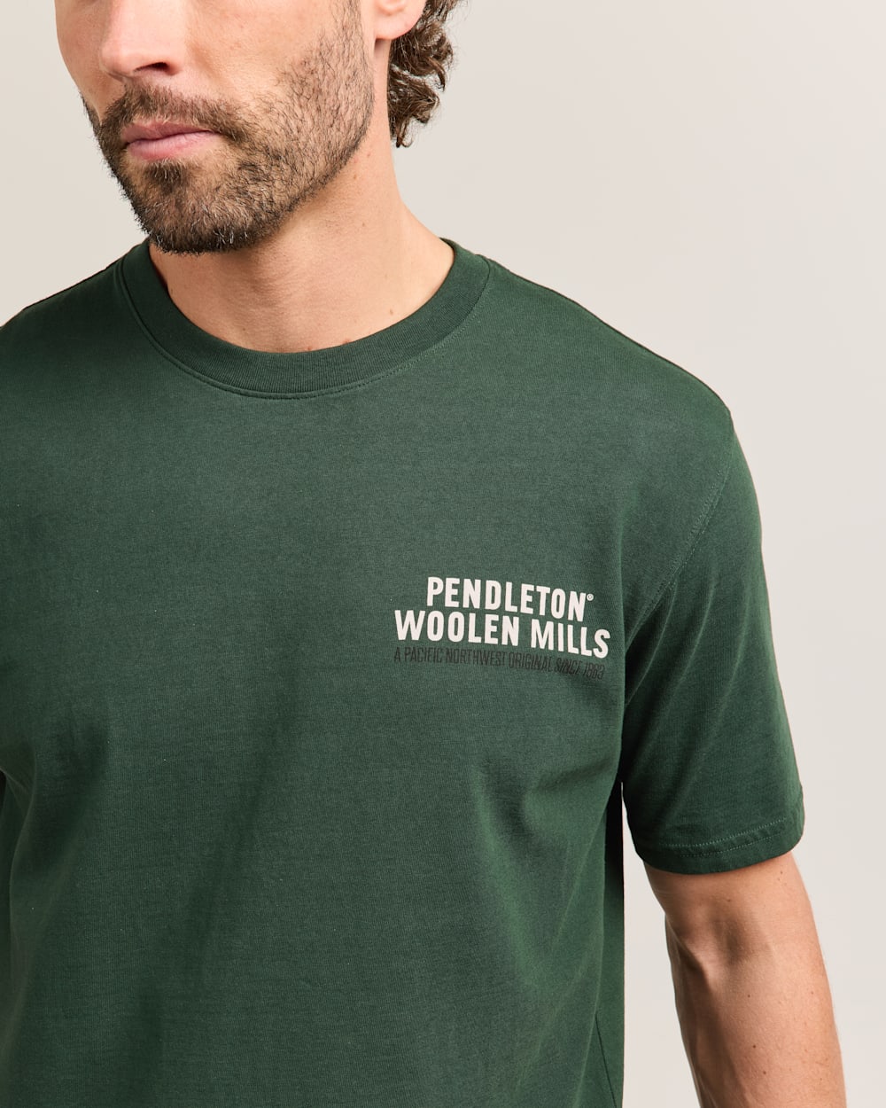 ALTERNATE VIEW OF MEN'S SHORT-SLEEVE DESCHUTES STAG GRAPHIC TEE IN ELM/IVORY image number 4