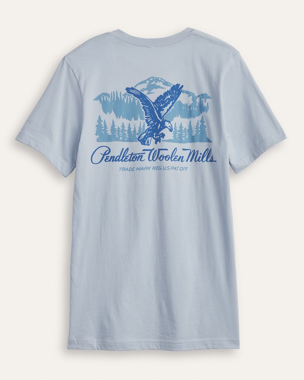 MEN'S FLYING EAGLE GRAPHIC TEE IN LIGHT BLUE image number 1