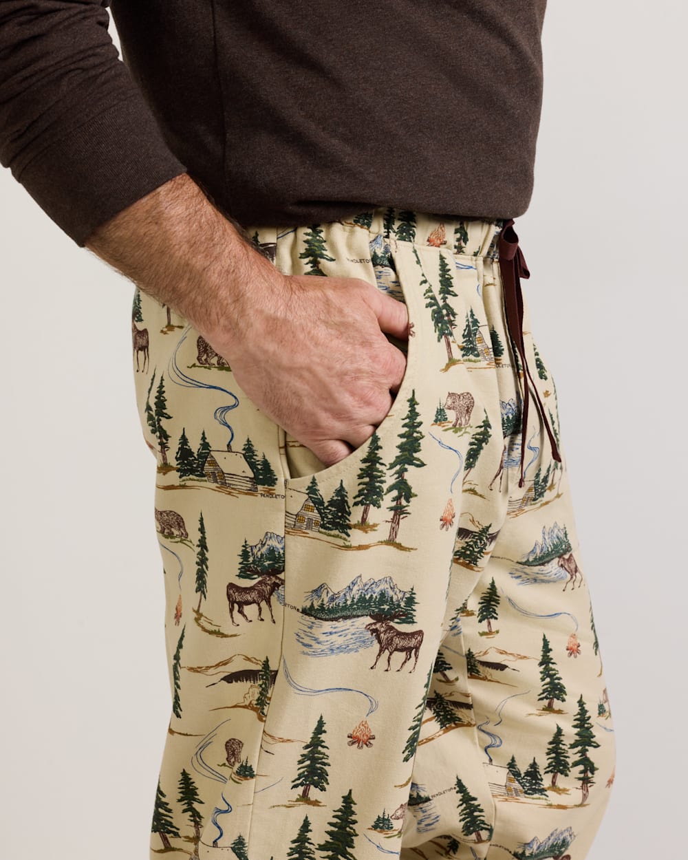 ALTERNATE VIEW OF MEN'S CAMP PRINT FLANNEL PAJAMA PANTS IN TAN image number 5