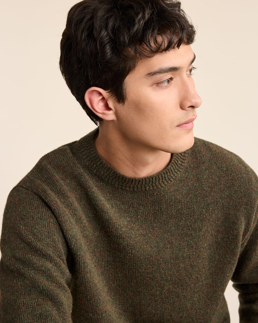 Sweater shetland online