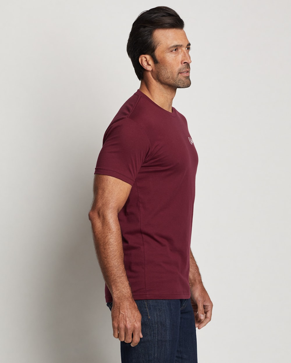 ALTERNATE VIEW OF MEN'S TECOPA HILLS DIAMOND GRAPHIC TEE IN MAROON/MULTI image number 4