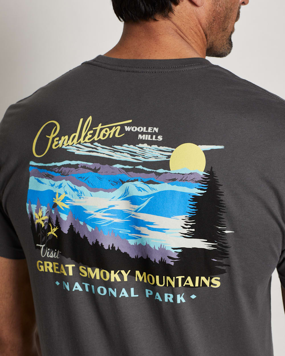 ALTERNATE VIEW OF MEN'S GREAT SMOKEY MOUNTAINS GRAPHIC TEE IN GREY/YELLOW image number 4