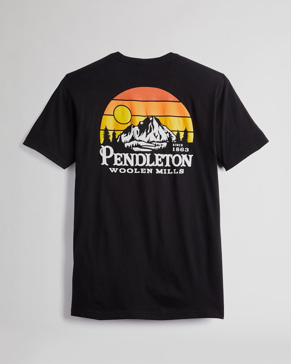 ALTERNATE VIEW OF MEN'S MOUNTAIN VIEW LOGO GRAPHIC TEE IN BLACK/MULTI image number 2