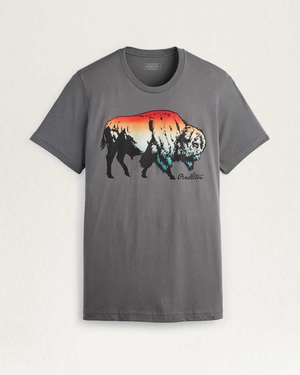 MEN'S OMBRE BISON GRAPHIC TEE IN ASPHALT/MULTI image number 1