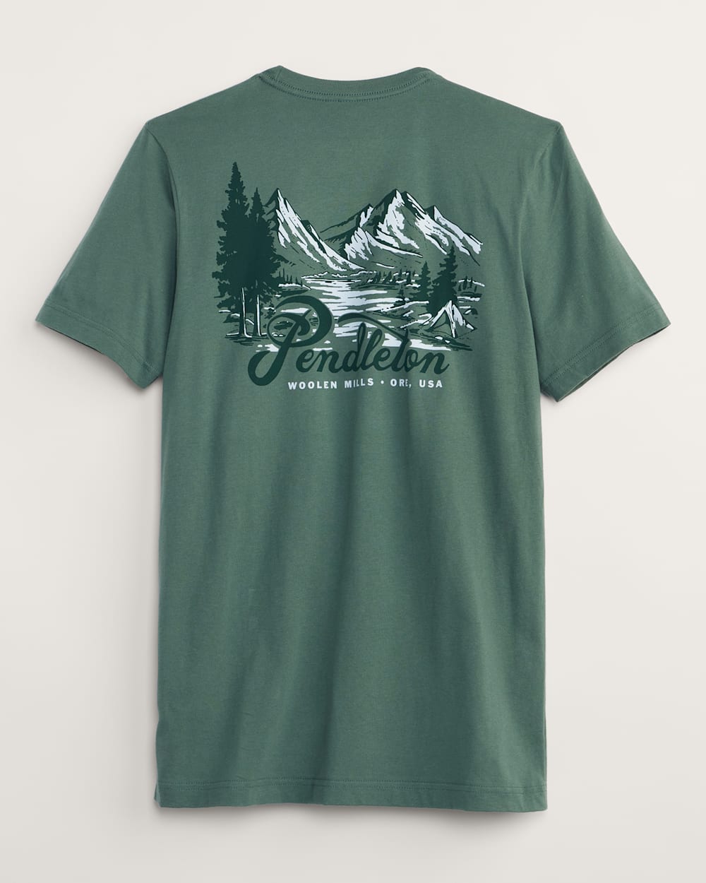 ALTERNATE VIEW OF MEN'S MOUNTAIN PASS GRAPHIC TEE IN PINE/FOREST image number 2