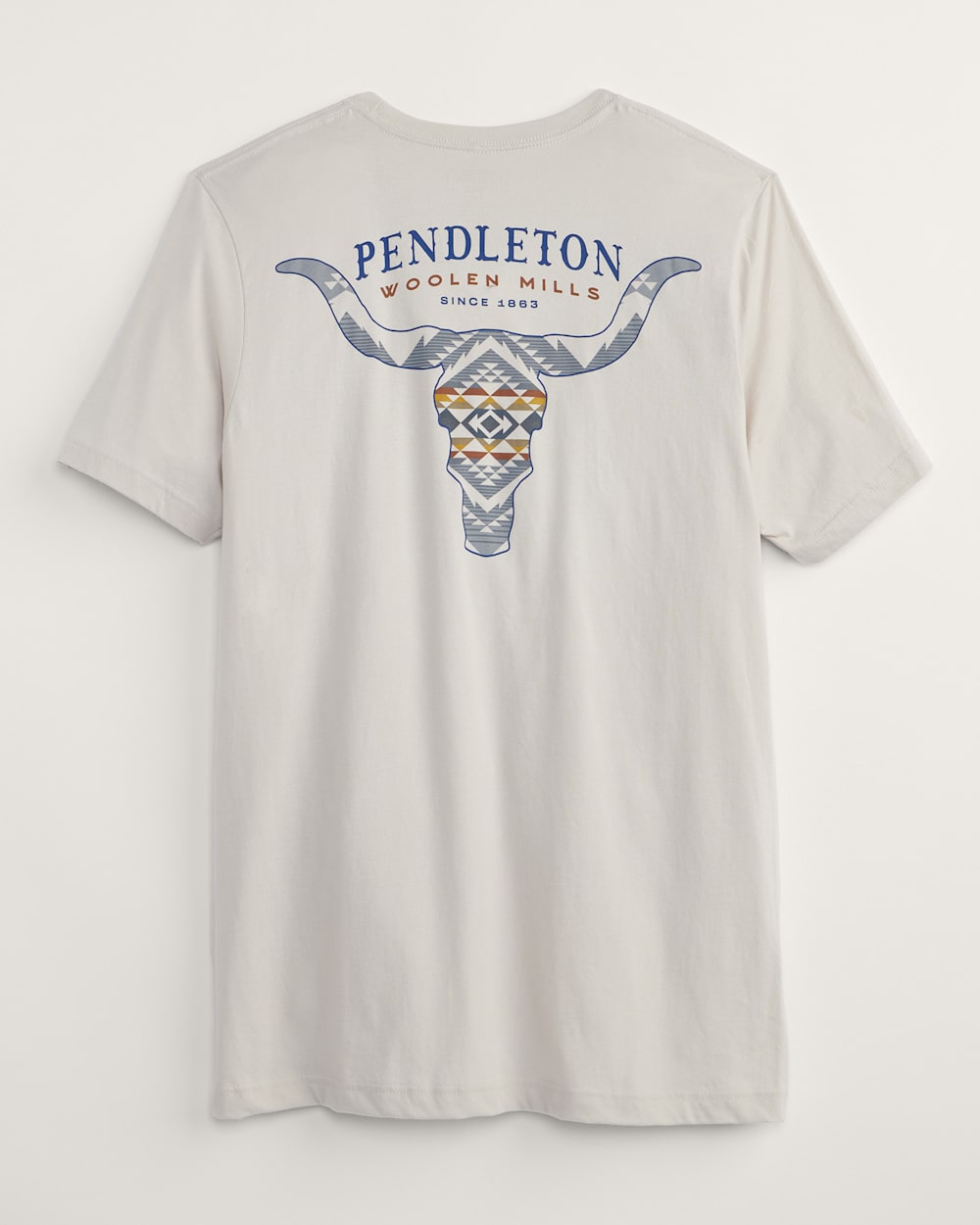 MEN'S CASCADIA SKULL GRAPHIC TEE IN DUST/MULTI image number 1