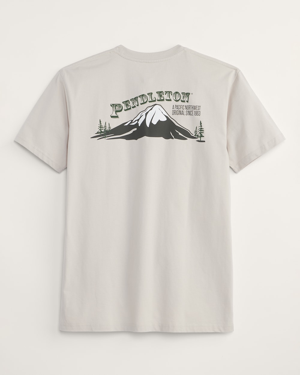 MEN'S MOUNTAIN TOP GRAPHIC TEE IN BONE/BROWN image number 1