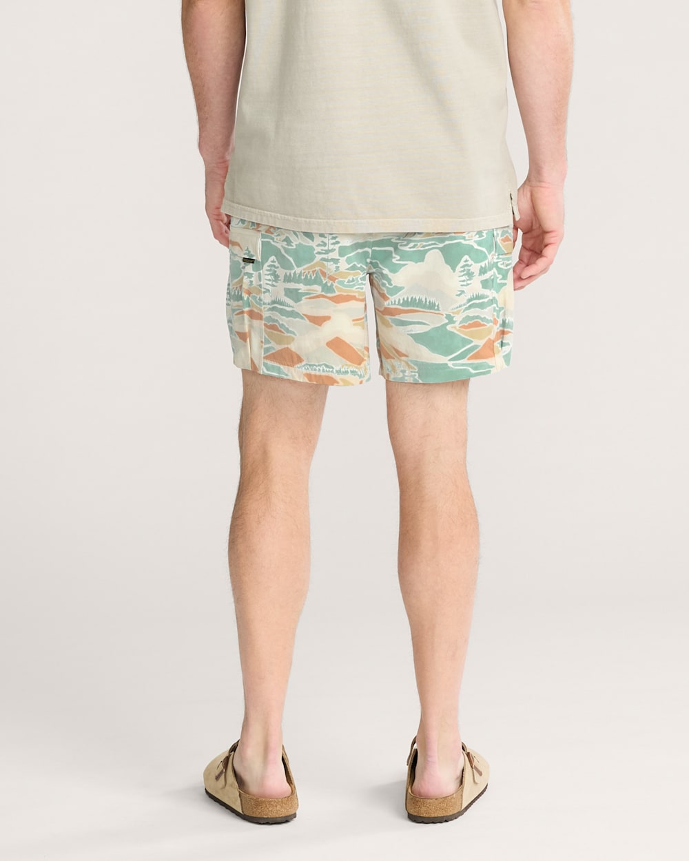ALTERNATE VIEW OF PACIFIC LANDSCAPE FIELDER CARGO SHORTS IN PACIFIC LANDSCAPE image number 3