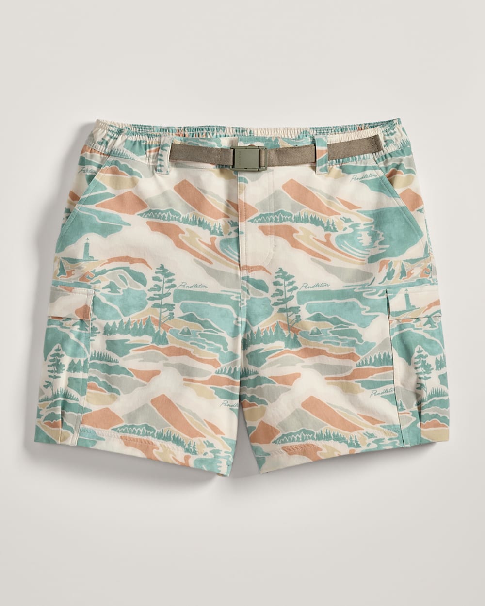 ALTERNATE VIEW OF PACIFIC LANDSCAPE FIELDER CARGO SHORTS IN PACIFIC LANDSCAPE image number 5