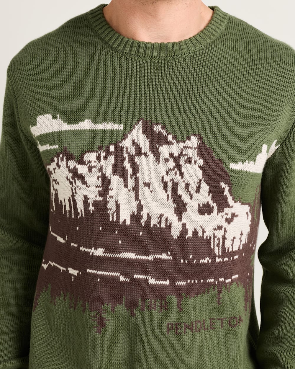 ALTERNATE VIEW OF MEN'S LAKE SCENE COTTON SWEATER IN GREEN/BROWN image number 4