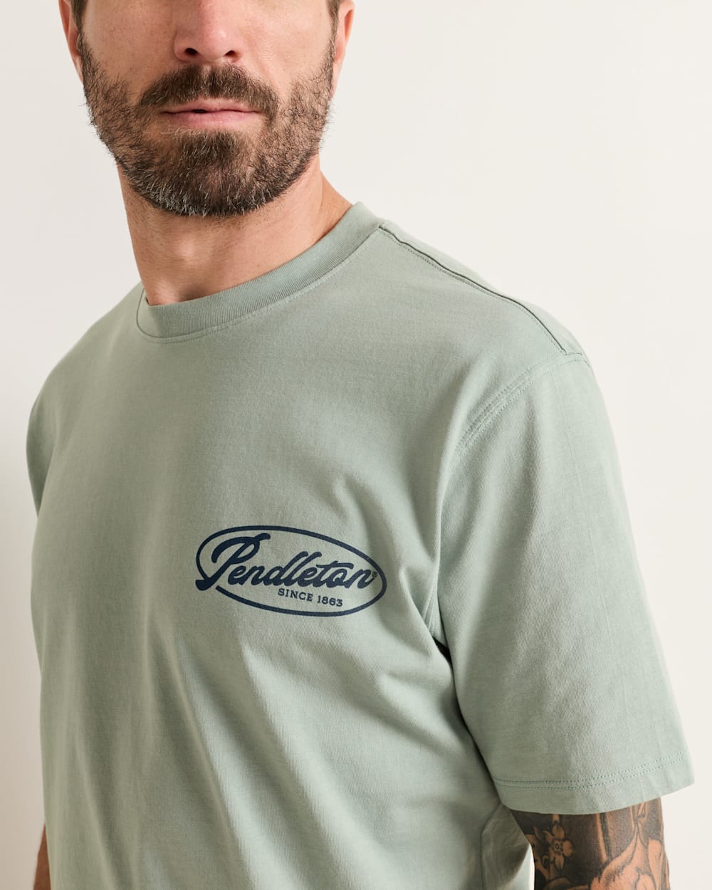ALTERNATE VIEW OF MEN'S SHORT-SLEEVE DESCHUTES SALMON GRAPHIC TEE IN SAGE GREEN/BLUE image number 4