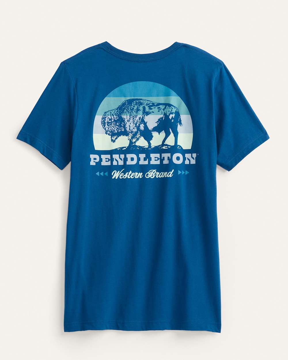 ALTERNATE VIEW OF MEN'S SHORT-SLEEVE BISON SUNSET GRAPHIC TEE IN COOL BLUE image number 2