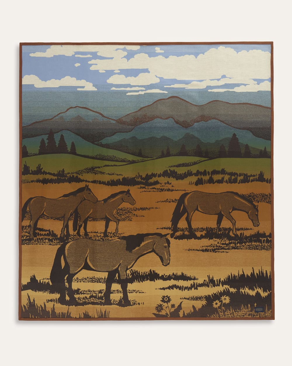 SHADOW MOUNTAIN BLANKET IN MEADOW image number 1