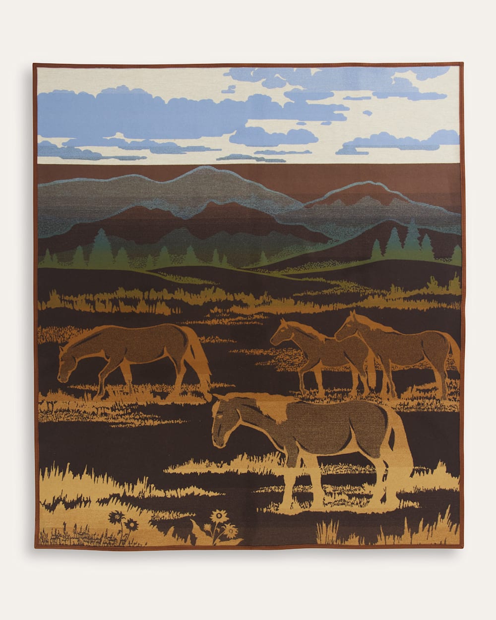 ALTERNATE VIEW OF SHADOW MOUNTAIN BLANKET IN MEADOW image number 2