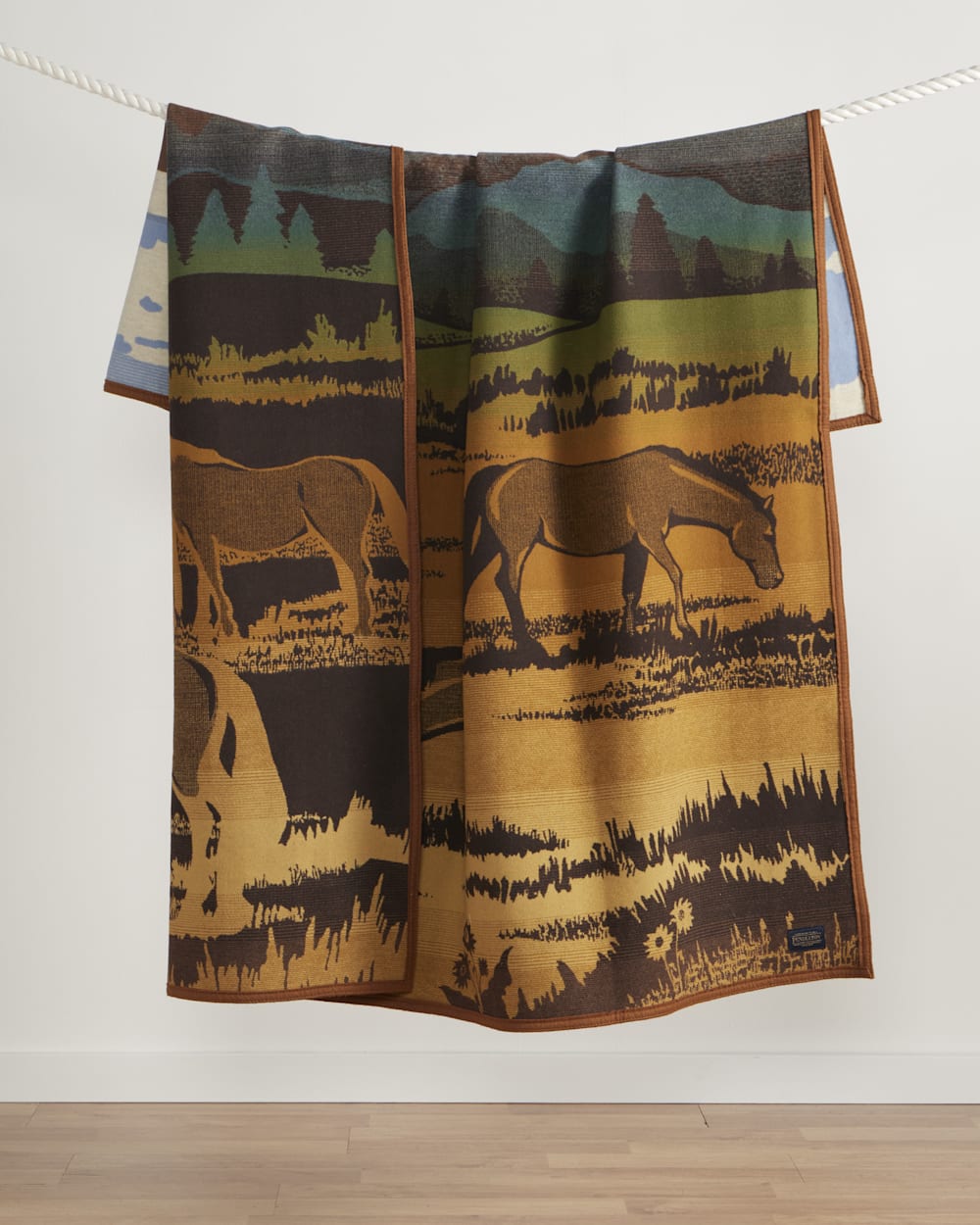 ALTERNATE VIEW OF SHADOW MOUNTAIN BLANKET IN MEADOW image number 3