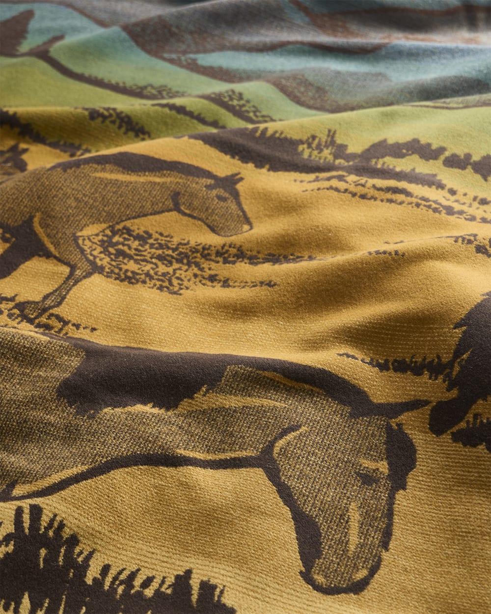 ALTERNATE VIEW OF SHADOW MOUNTAIN BLANKET IN MEADOW image number 4