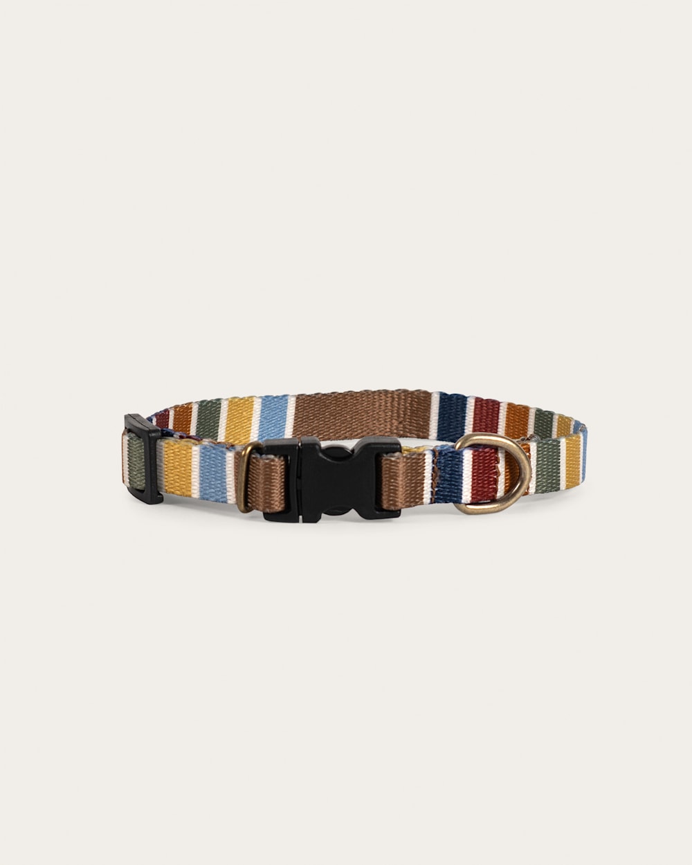 JOSHUA TREE NATIONAL PARK ADVENTURE COLLAR IN JOSHUA TREE image number 1