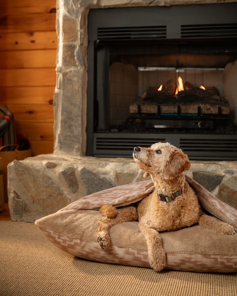 ALTERNATE VIEW OF GINGER MESILLA BURROW PET BED IN GINGER MESILLA image number 2