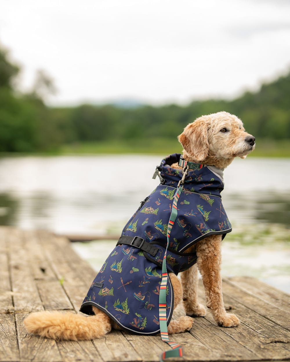 ALTERNATE VIEW OF CANOE CLUB PET ADVENTURE RAIN COAT IN CANOE CLUB image number 2