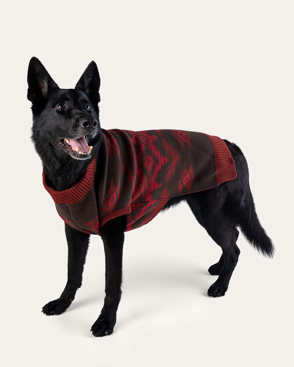 CROWN POINT PET SWEATER IN RED MULTI image number 1