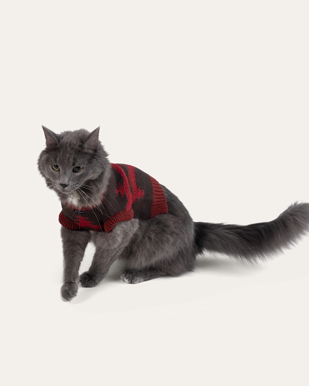 ALTERNATE VIEW OF CROWN POINT PET SWEATER IN RED MULTI image number 5