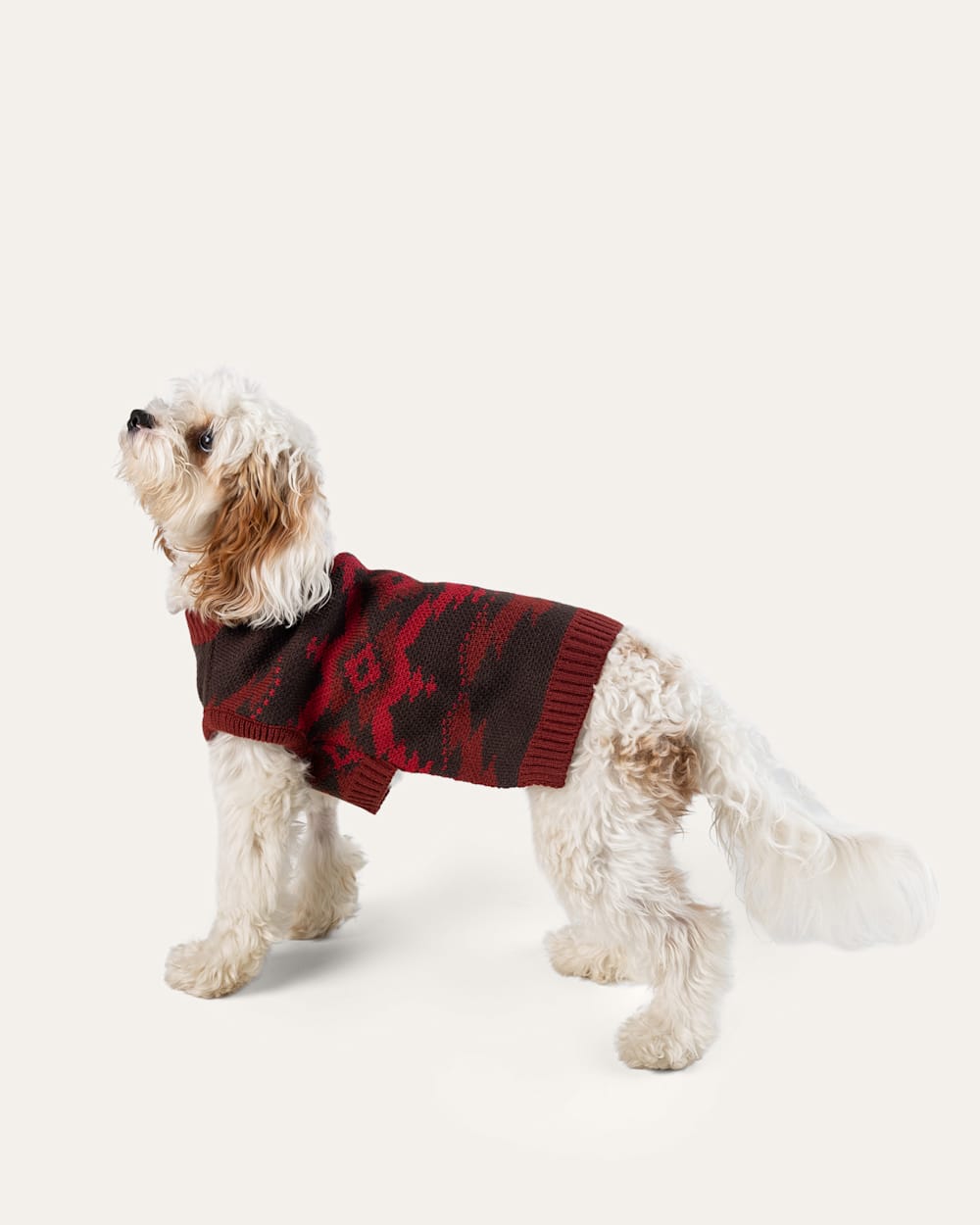ALTERNATE VIEW OF CROWN POINT PET SWEATER IN RED MULTI image number 6